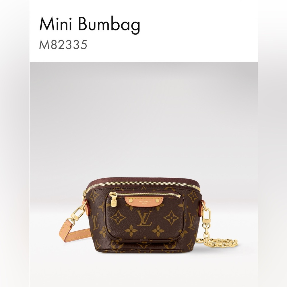 LOUIS VUITTON MINI BUM BAG